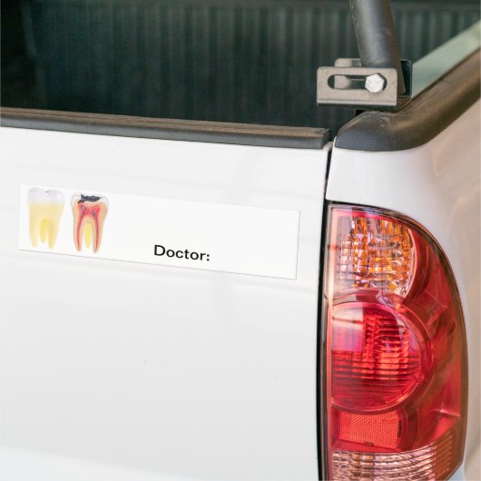 Teeth Anatomy Bumpersticker (Op Truck)