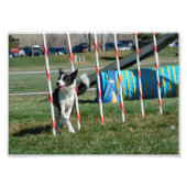 TeeVee Foto Afdruk (Voorkant)