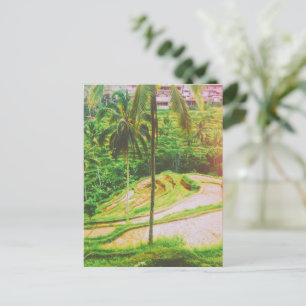 Tegalalang Rice Terrace - Bali - Indonesië Briefkaart