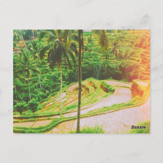 Tegalalang Rice Terrace - Bali - Indonesië Briefkaart (Achterkant)