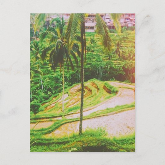 Tegalalang Rice Terrace - Bali - Indonesië Briefkaart (Voorkant)