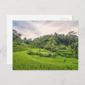 Tegallalang Briefkaart (Voorkant / Achterkant)