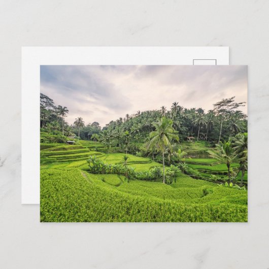 Tegallalang Briefkaart (Voorkant / Achterkant)