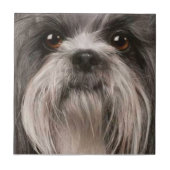 tegel 2 tegeltje (Voorkant)