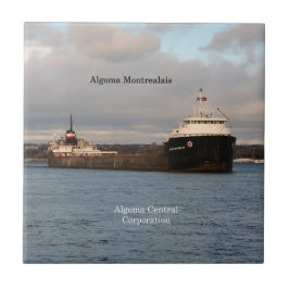 Tegel Algoma Montreal Tegeltje