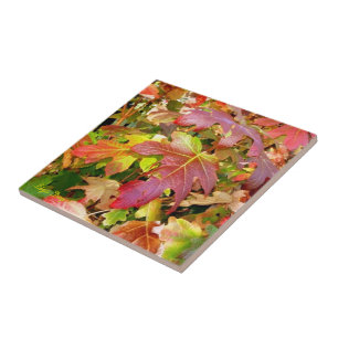 tegel "Autumn Leaves"/Trivet Tegeltje