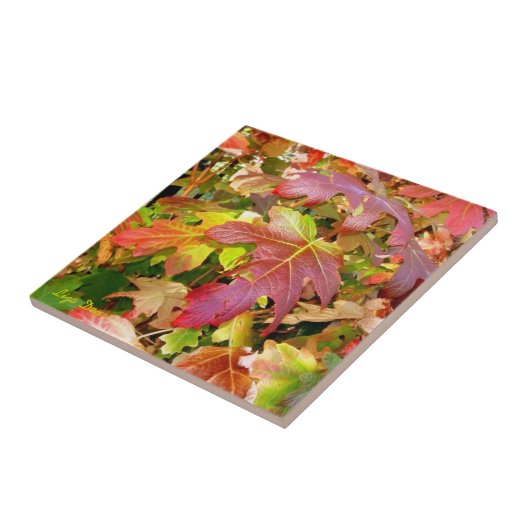 tegel "Autumn Leaves"/Trivet Tegeltje (Zijkant)