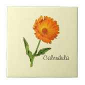 Tegel - Calendula Tegeltje (Voorkant)
