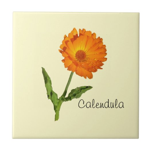 Tegel - Calendula Tegeltje (Voorkant)