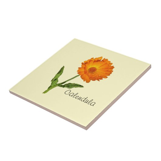 Tegel - Calendula Tegeltje (Zijkant)