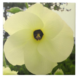 TEGEL, GROTE BLEKE GELE "PINWHEEL" BLOEM TEGELTJE