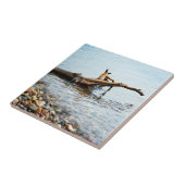 Tegel kleuren tegeltje (Zijkant)