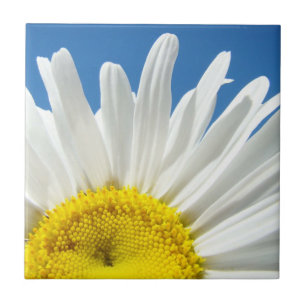 Tegel Kunst Witte Madeliefjes Bloemen Blauwe Lucht Tegeltje