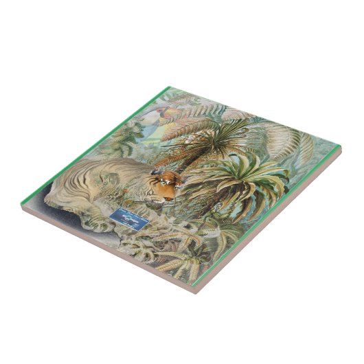 Tegel Lichtgroen (Oerwoud Fever) RFPMDesigns©️2024 Tegeltje (Zijkant)