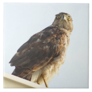 Tegel met rode schouderwand tegeltje