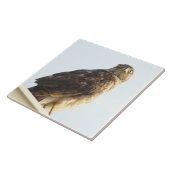 Tegel met rode schouderwand tegeltje (Zijkant)