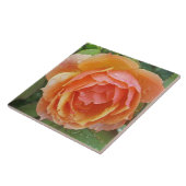 TEGEL, "PEACHY SINAASAPPEL GEKLEURD ROOS MET REGEN TEGELTJE (Zijkant)