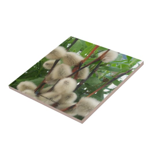 Tegel (PussyWillowsInLeaves) RFPMDesign ©️ 2012 Tegeltje (Zijkant)