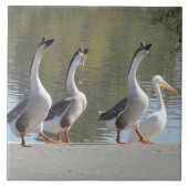 Tegel - rolganzen tegeltje (Voorkant)