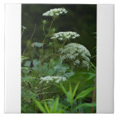 tegel sjabloon tegeltje (Voorkant)