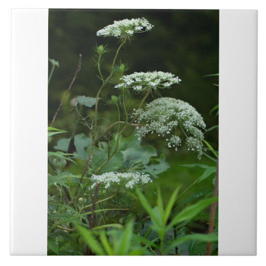 tegel sjabloon tegeltje (Voorkant)