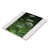 tegel sjabloon tegeltje (Zijkant)