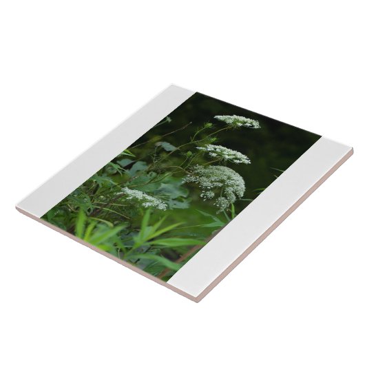 tegel sjabloon tegeltje (Zijkant)