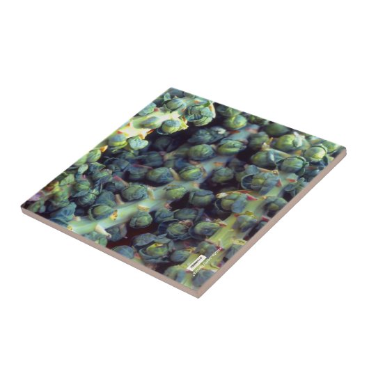 Tegel Tegeltje (Zijkant)