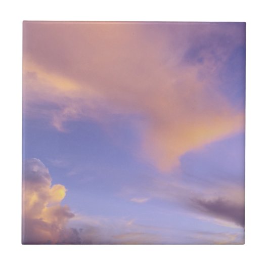 TEGEL/TRIVET "PAINTED SKY" TEGELTJE (Voorkant)
