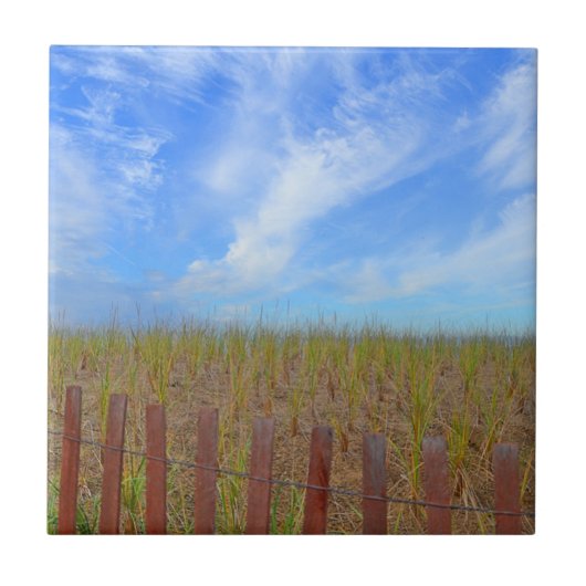 Tegel van Beachy uit Hammonasset Tegeltje (Voorkant)