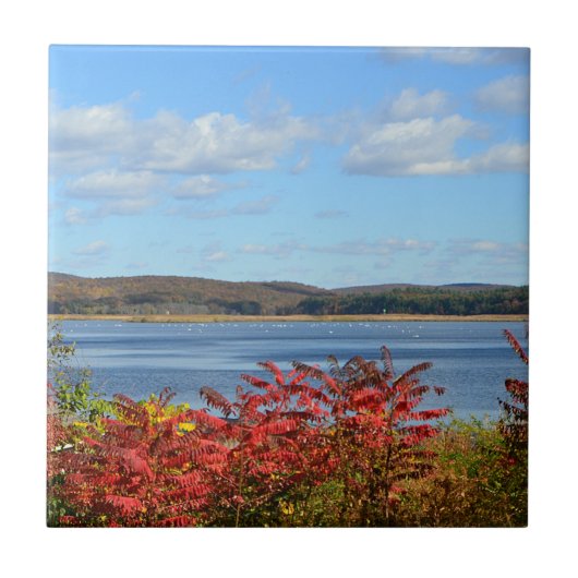 Tegel van de Connecticut Tegeltje (Voorkant)