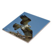 Tegel van de Osprey- voor het vliegen met de henge Tegeltje (Zijkant)