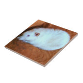Tegel van de Rat van de sneeuwbal de Witte Tegeltje (Zijkant)