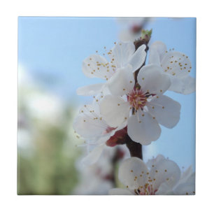 Tegel van keramisch hout tegeltje