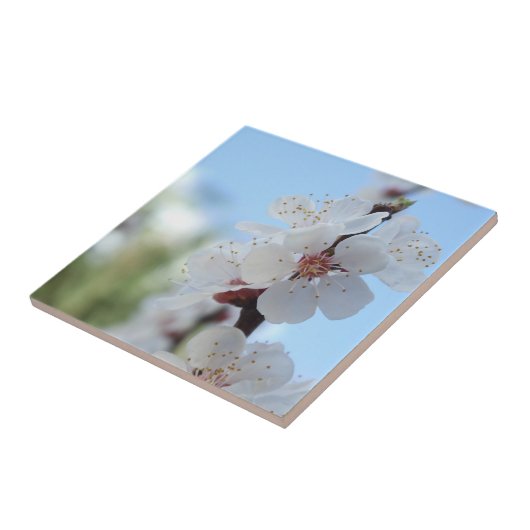 Tegel van keramisch hout tegeltje (Zijkant)