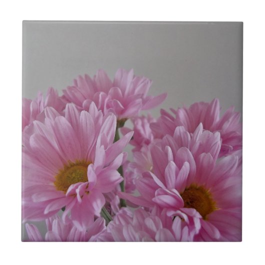 Tegel van keramisch hout tegeltje (Voorkant)