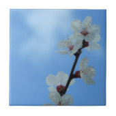 Tegel van keramisch hout tegeltje (Voorkant)