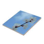 Tegel van keramisch hout tegeltje (Zijkant)