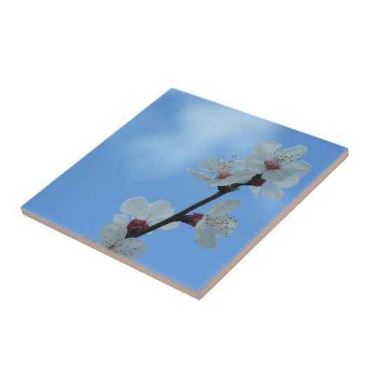 Tegel van keramisch hout tegeltje (Zijkant)