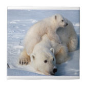 Tegel van keramische Beer Tegeltje (Voorkant)