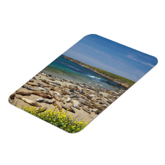 Tegel van olifantenzegels magneet (Linkerzijde)