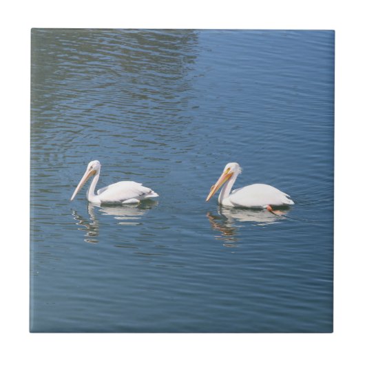 tegel van pelikaans paar tegeltje (Voorkant)