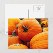 Tegel van pompoenen briefkaart (Voorkant / Achterkant)