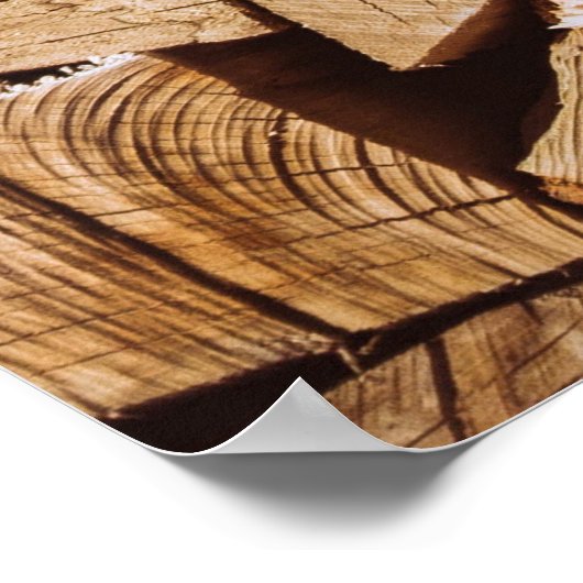 Tegel van vuurhout poster (Hoek)