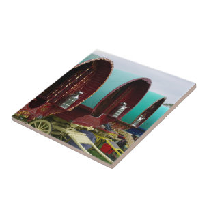 Tegel van zigeunercaravans tegeltje