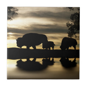 Tegel voor de zuidwestelijke kunst tegeltje