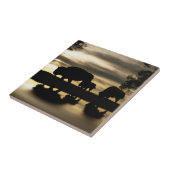 Tegel voor de zuidwestelijke kunst tegeltje (Zijkant)