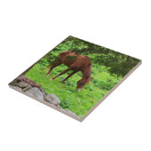 Tegel voor paardengrazing tegeltje (Zijkant)