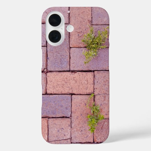 Tegels en Onkruid In De Wandelpad Foto Case-Mate iPhone Case (Achterkant)