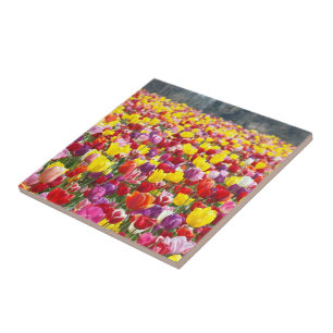 Tegels Kunst Warmhoudplaat Tegels cadeaus Tulp Blo Tegeltje